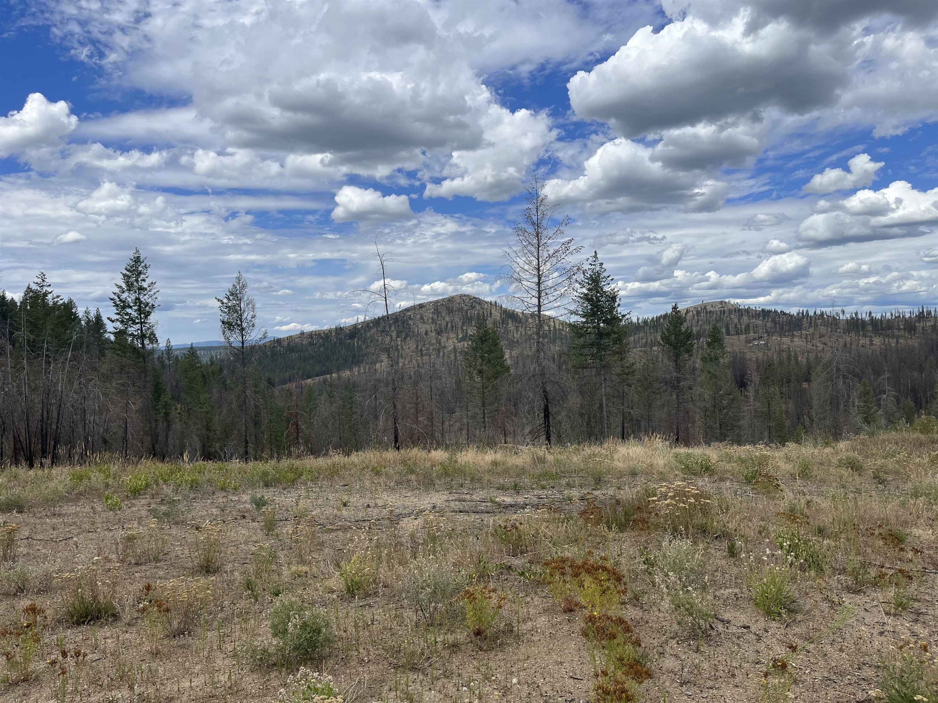Lot 11 Rail Canyon Rd - Photo 9