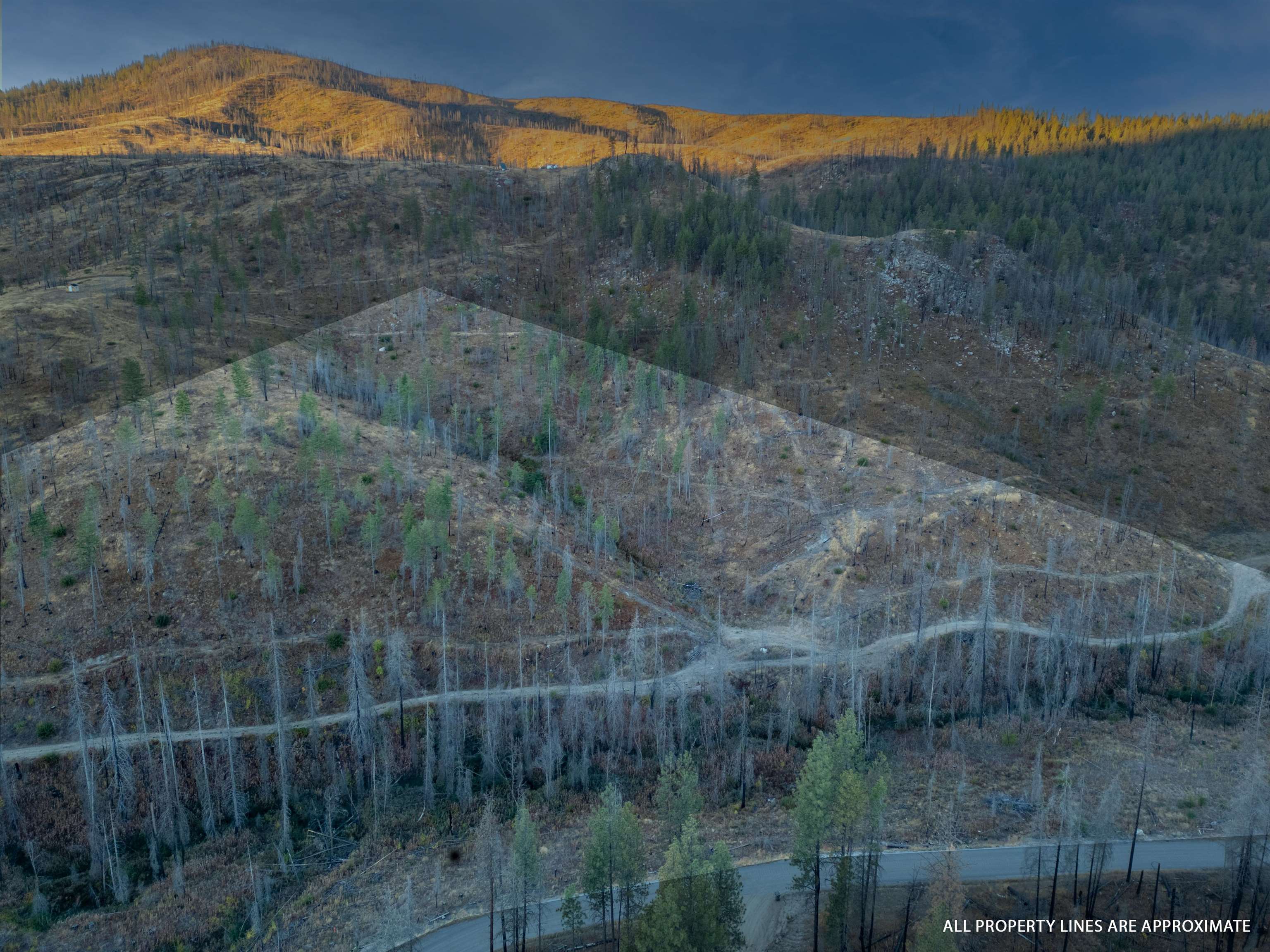 Lot 12 Rail Canyon Rd - Photo 1