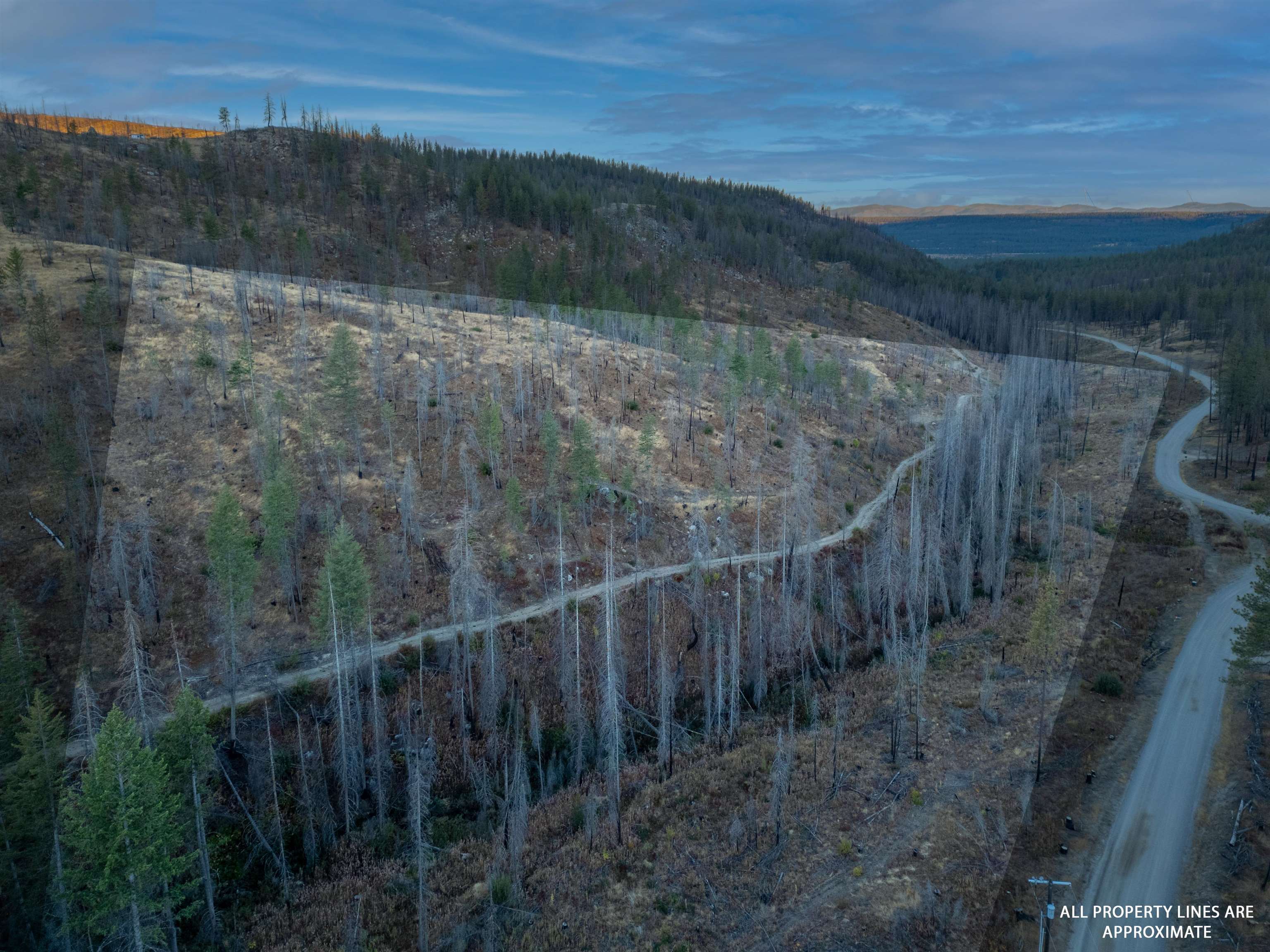 Lot 12 Rail Canyon Rd - Photo 3