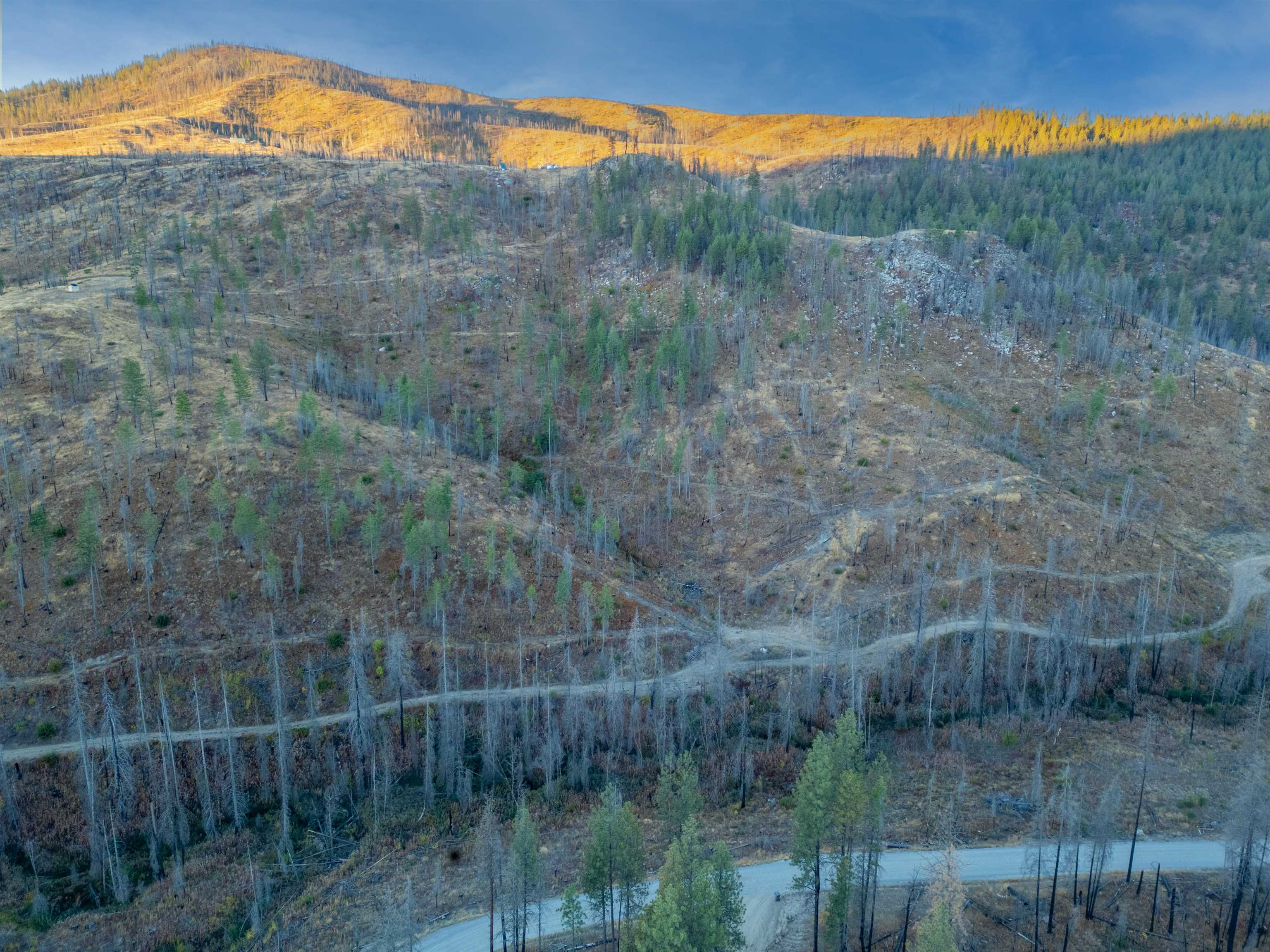 Lot 12 Rail Canyon Rd - Photo 4
