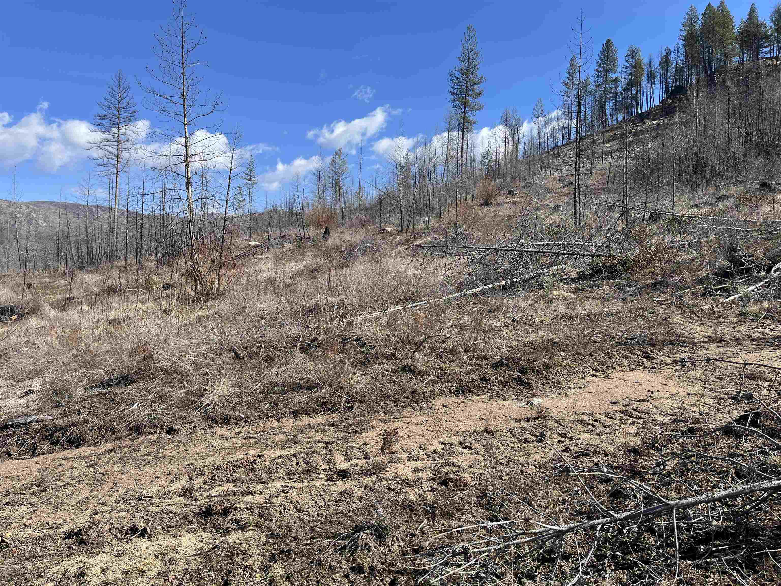 Lot 1 Rail Canyon Rd - Photo 3