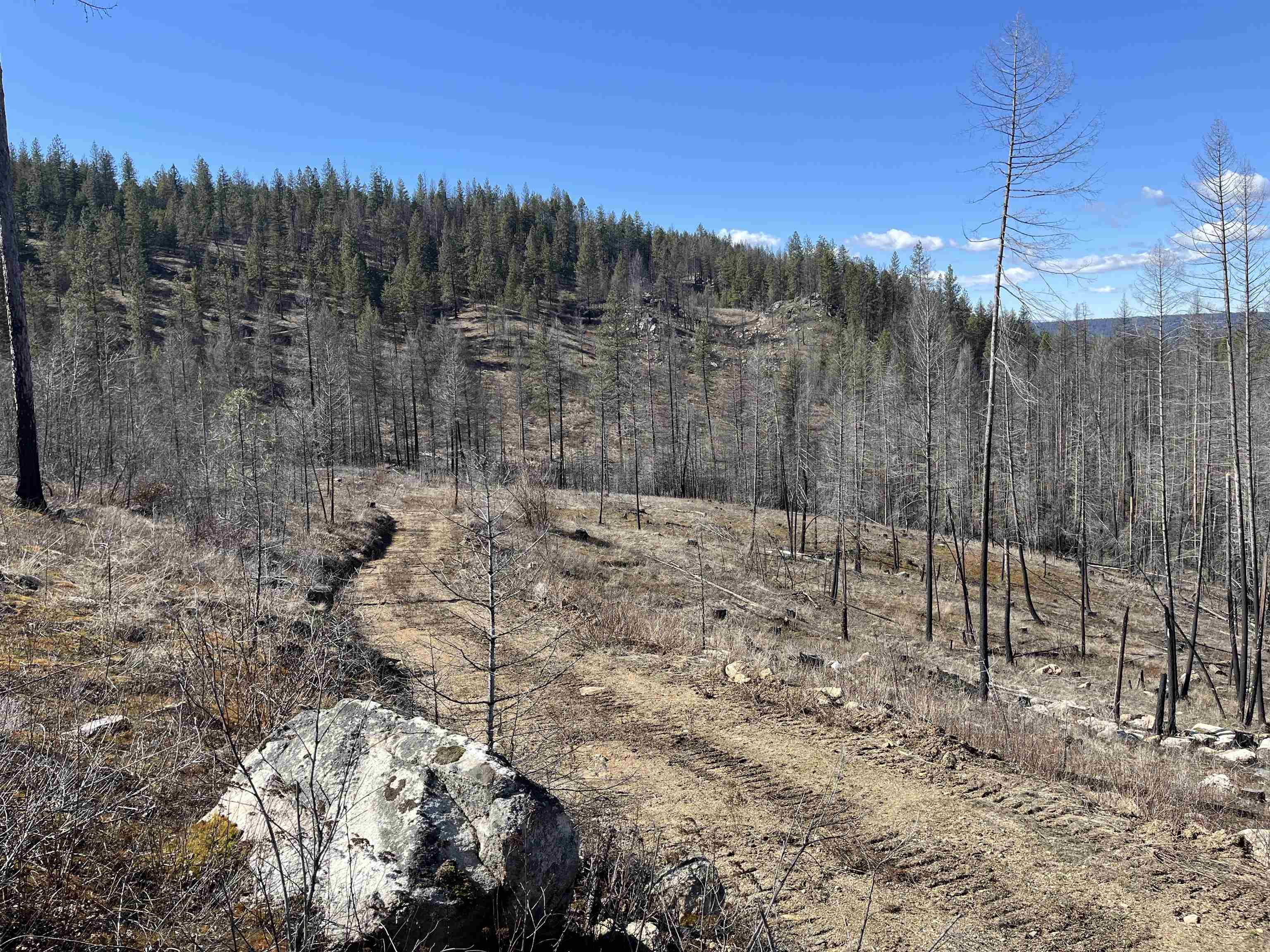 Lot 1 Rail Canyon Rd - Photo 4