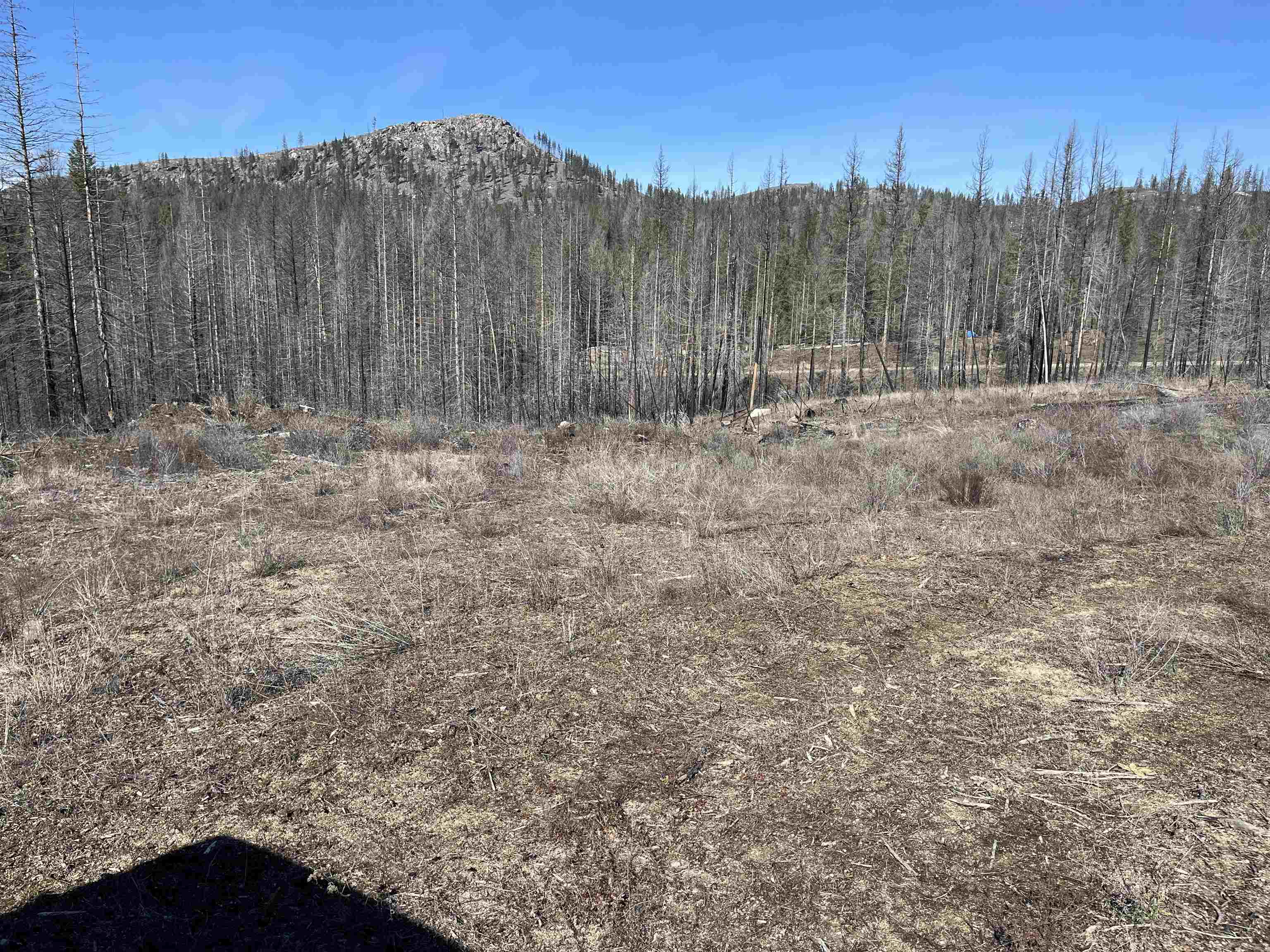 Lot 1 Rail Canyon Rd - Photo 5