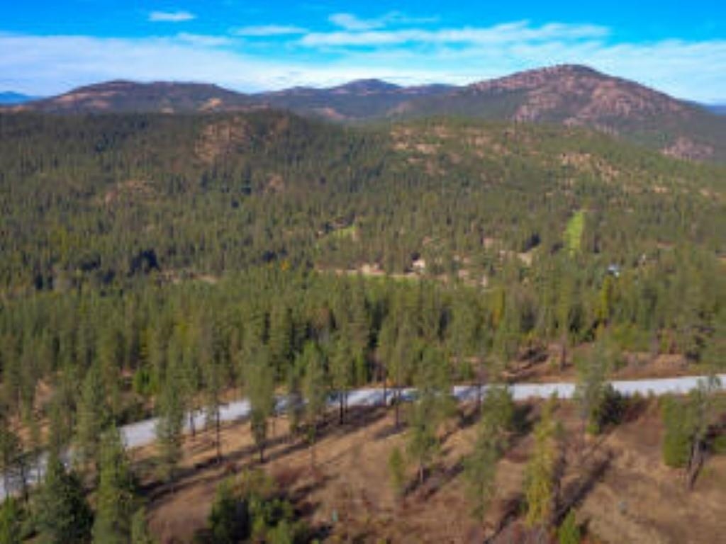 1624 PALMER Loop - Photo 2