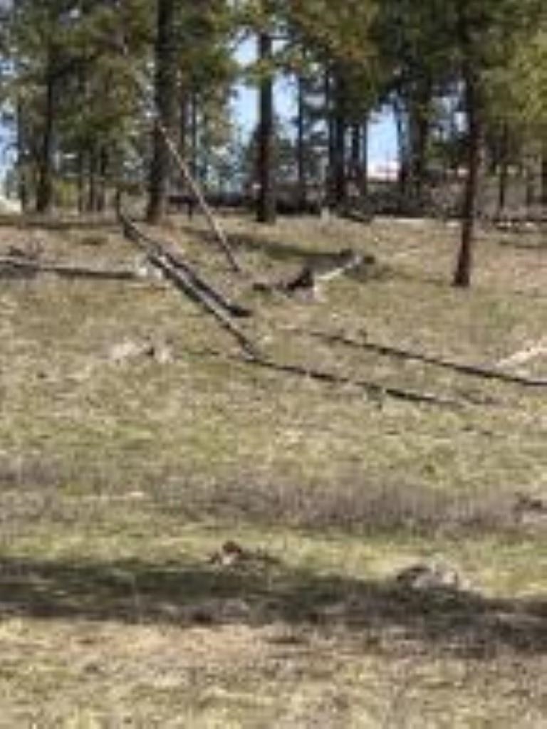 1624 PALMER Loop - Photo 12