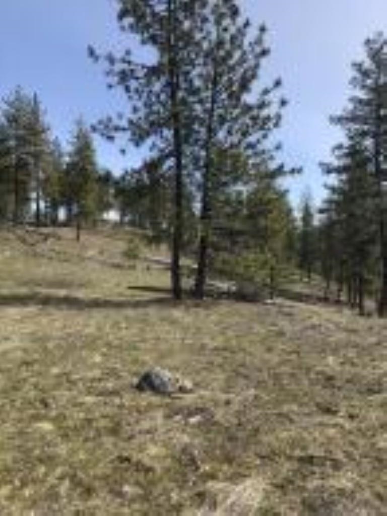 1624 PALMER Loop - Photo 7