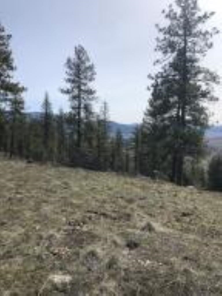 1624 PALMER Loop - Photo 8