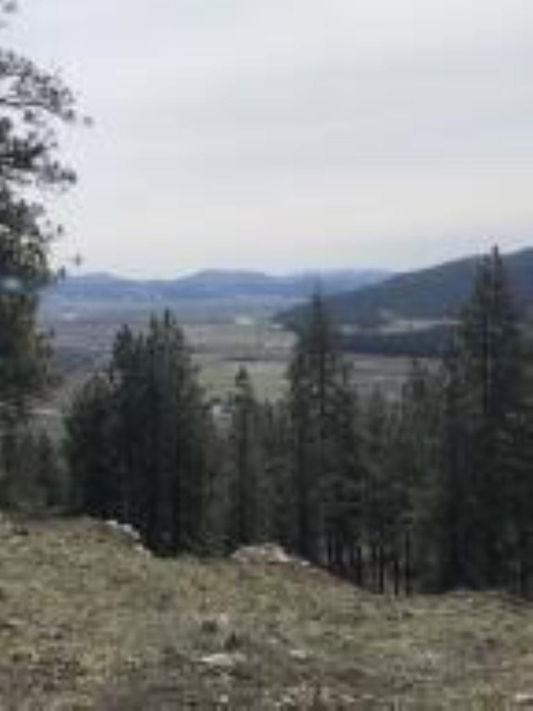 1624 PALMER Loop - Photo 9