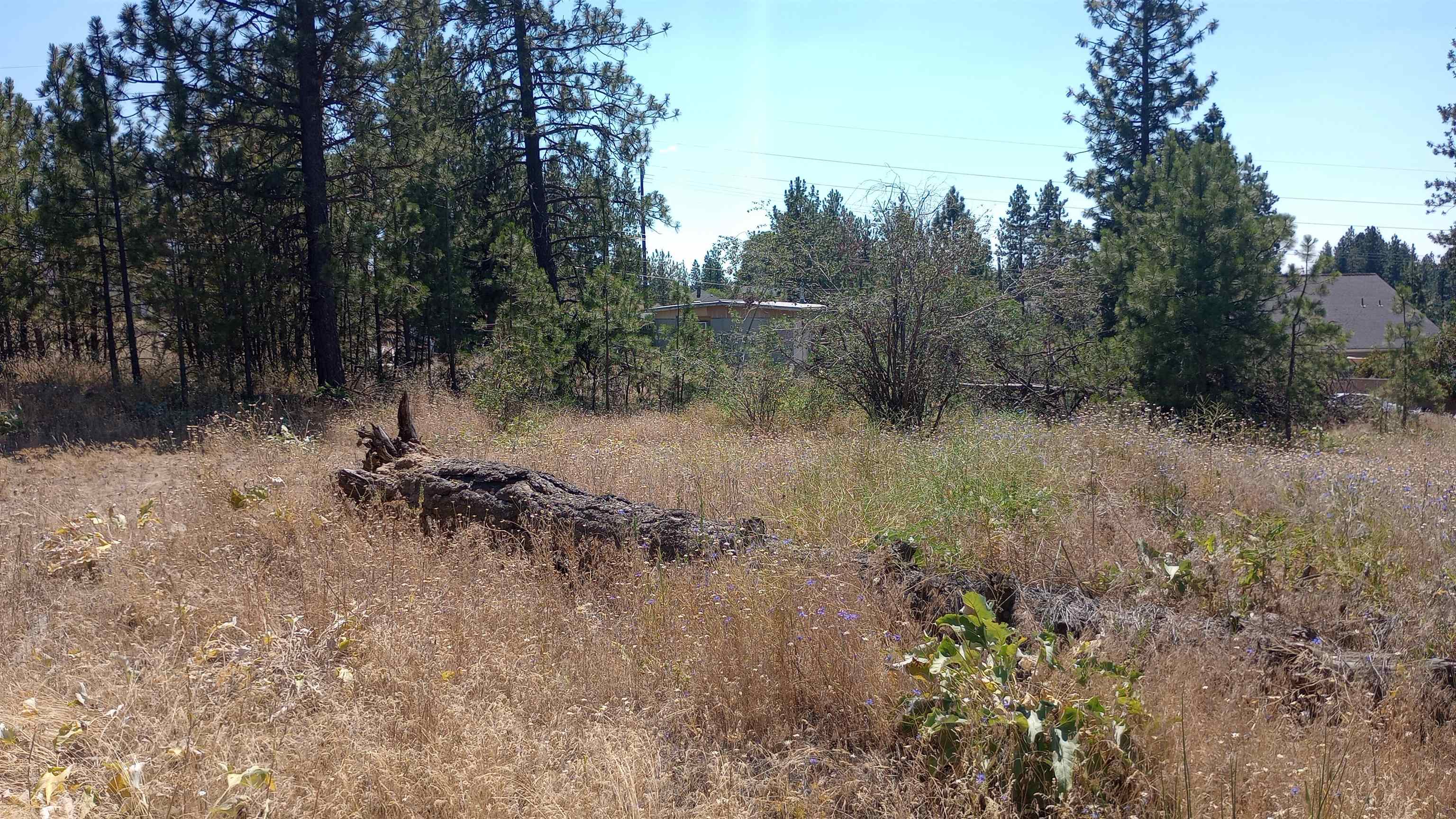 XX W 28th Ave - Photo 5