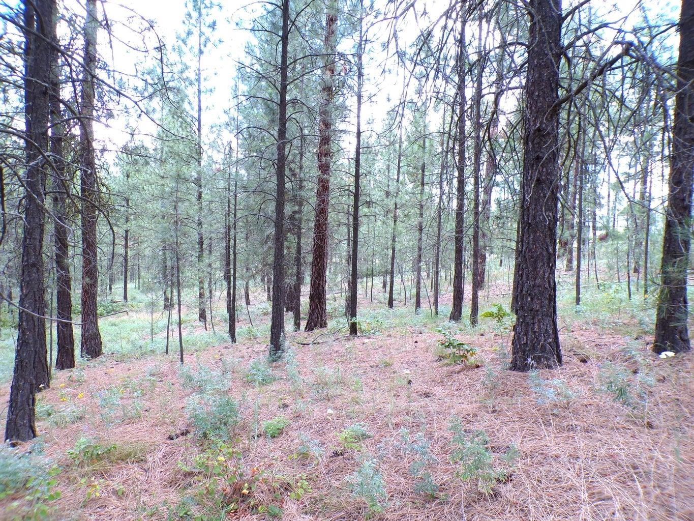 1185 Fumi Cir - Photo 11
