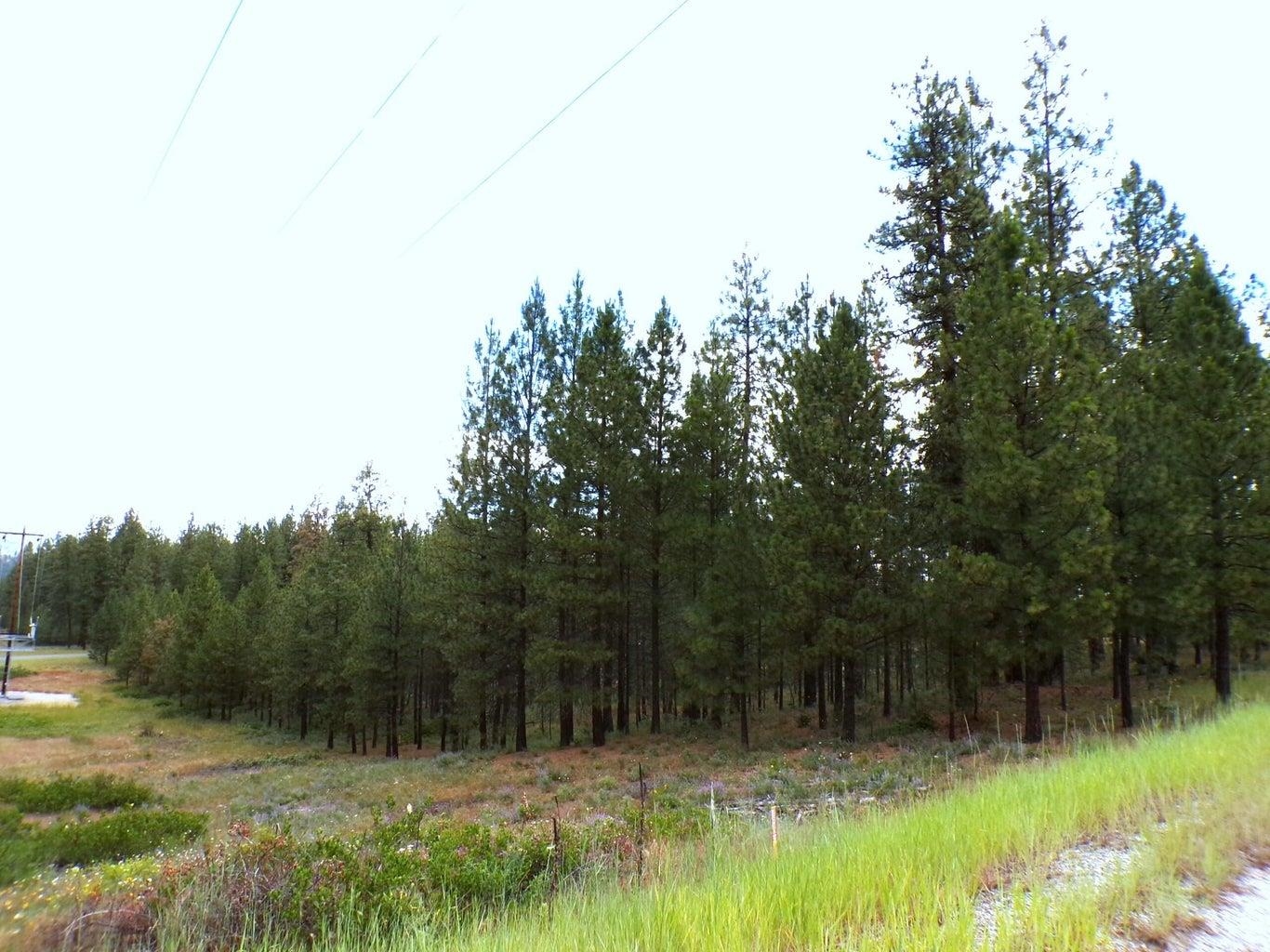 1185 Fumi Cir - Photo 15