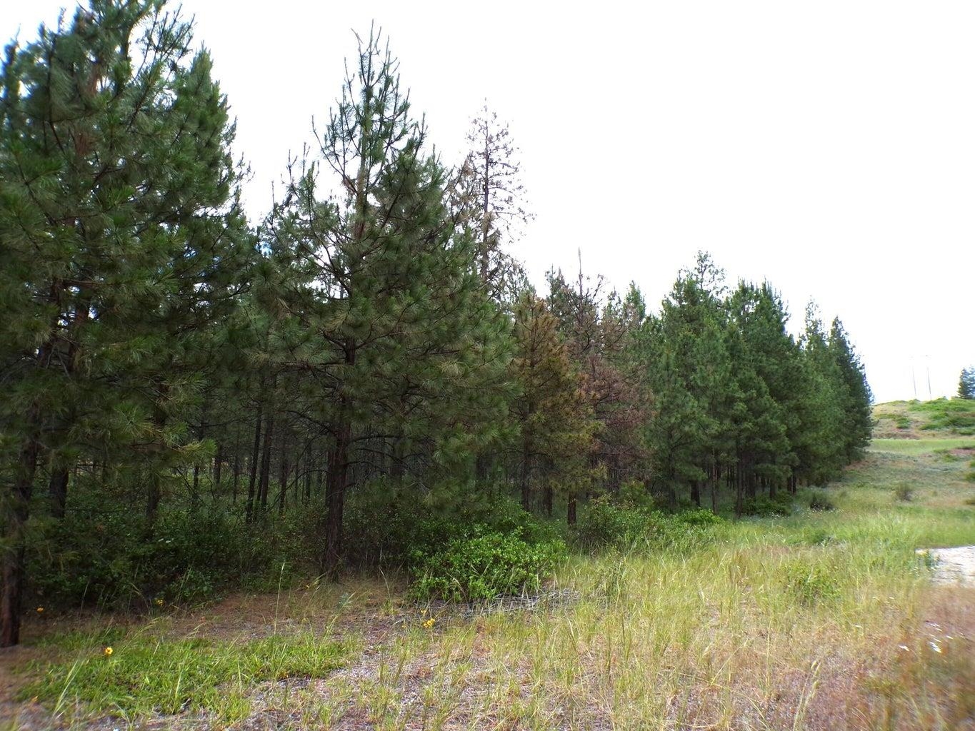 1185 Fumi Cir - Photo 7