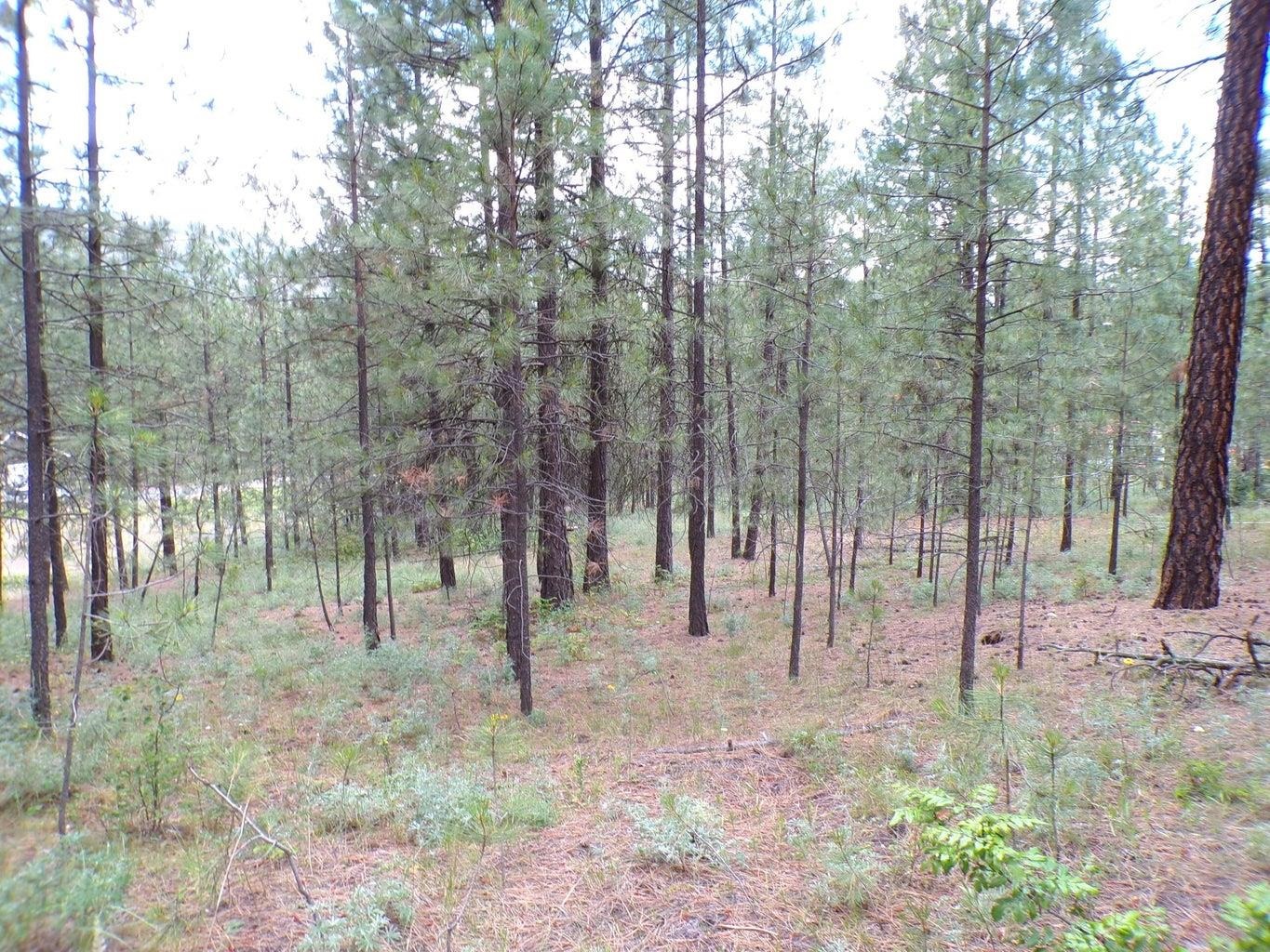1185 Fumi Cir - Photo 10