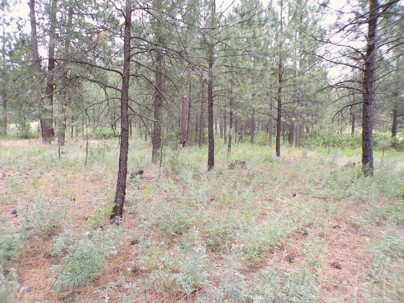 1213 Fumi Cir - Photo 11
