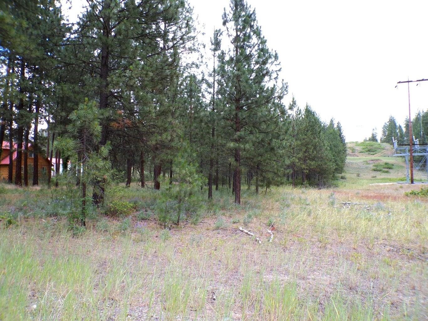 1213 Fumi Cir - Photo 12