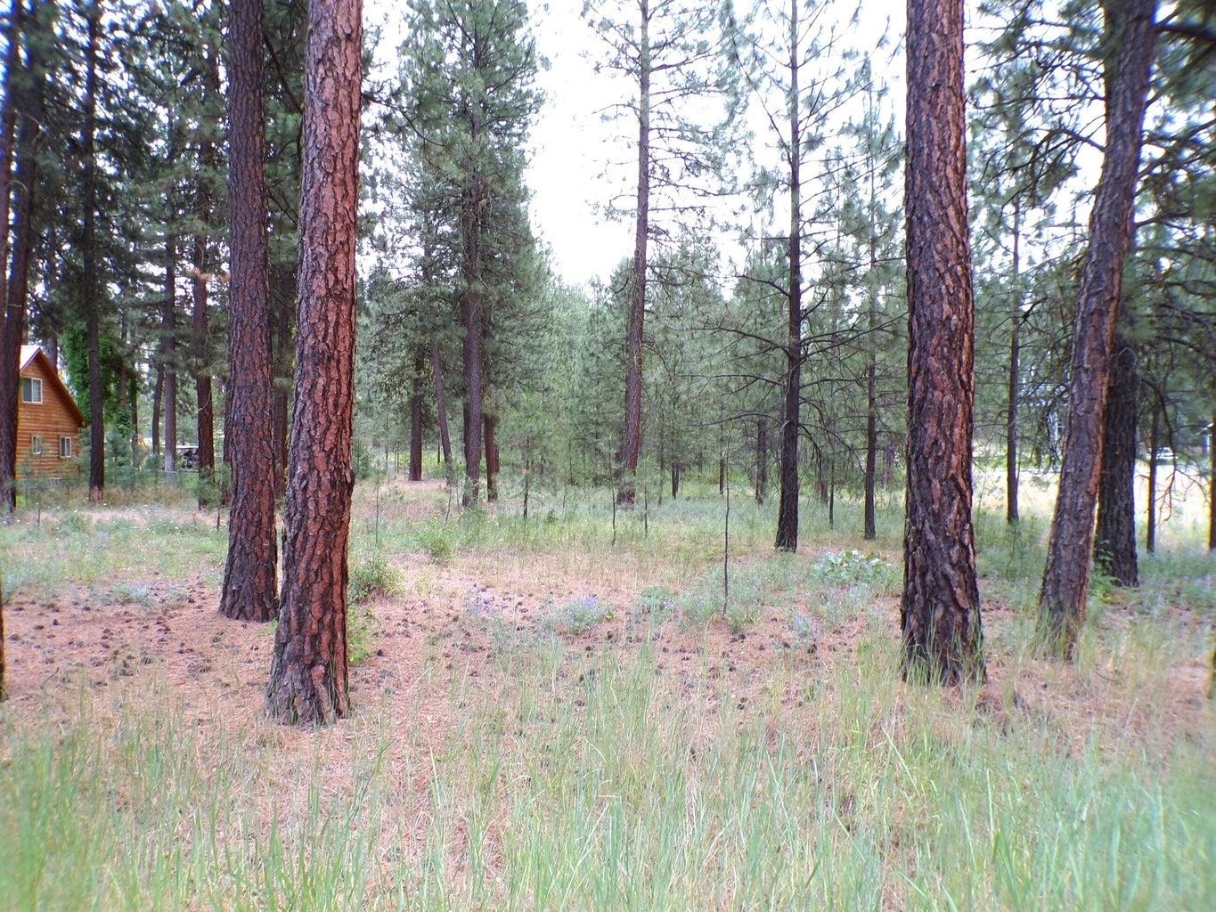 1213 Fumi Cir - Photo 13