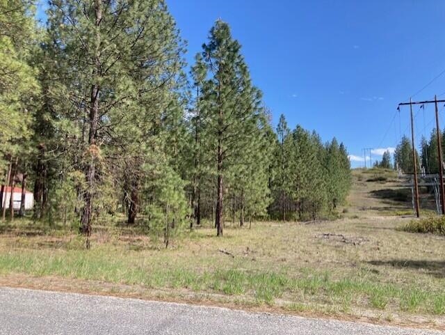 1213 Fumi Cir - Photo 3
