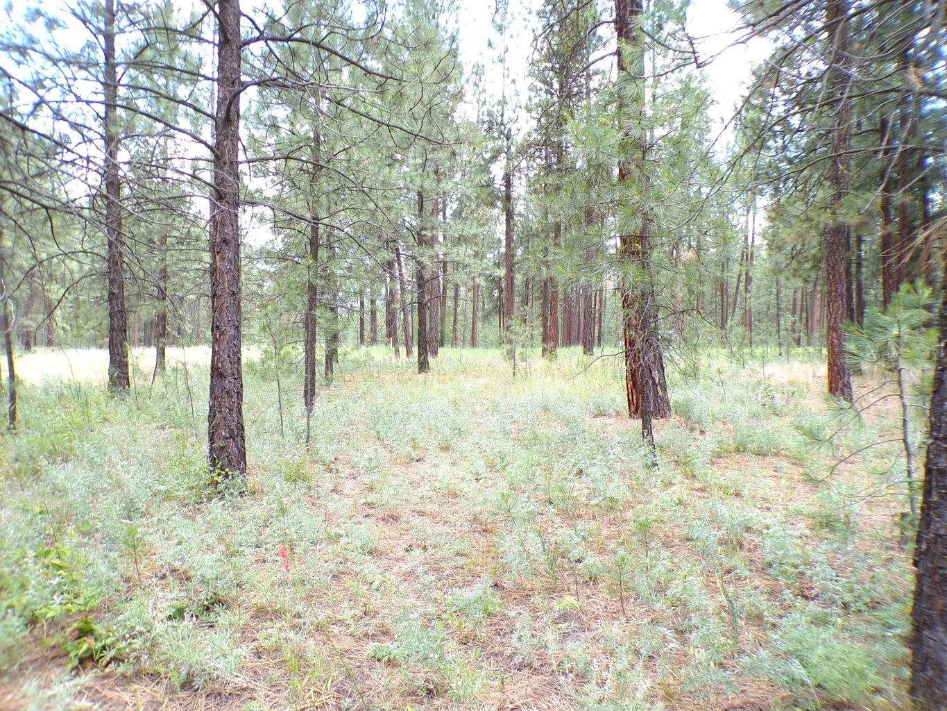 1213 Fumi Cir - Photo 9