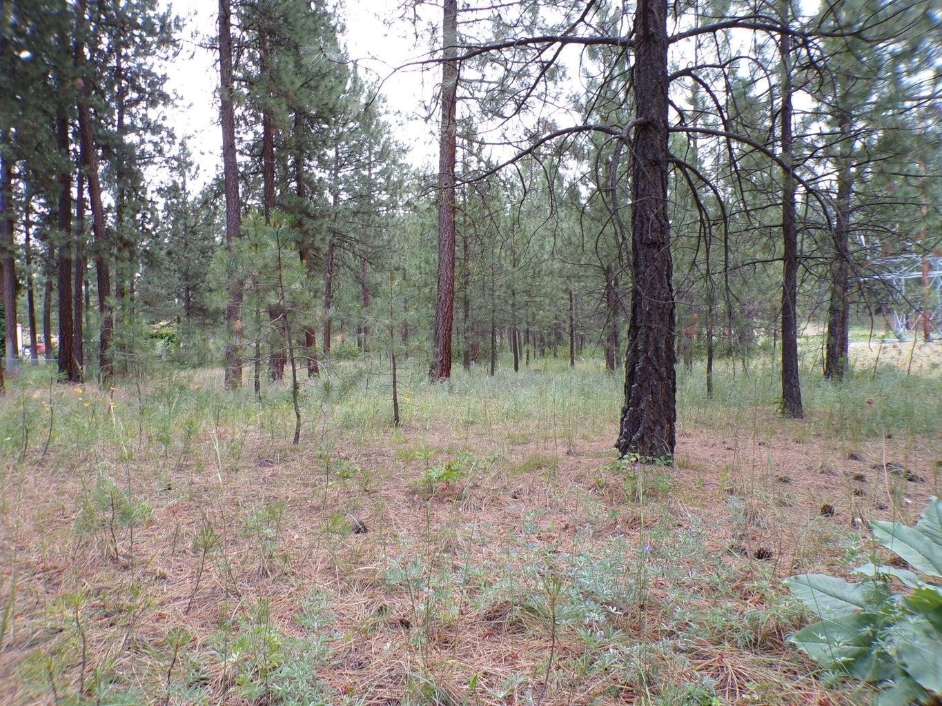 1213 Fumi Cir - Photo 10