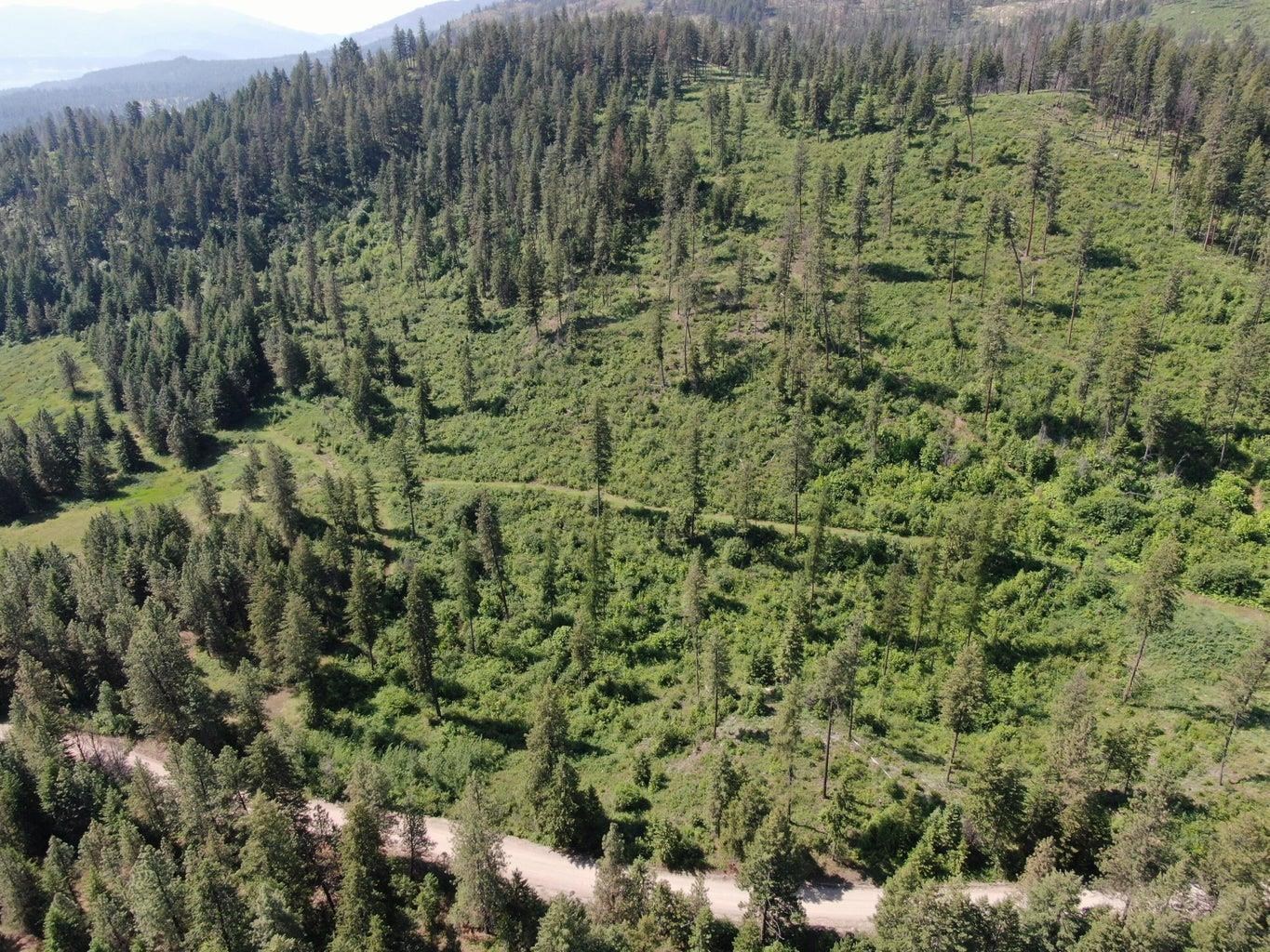 Lot 4 Matsen Creek Rd - Photo 1