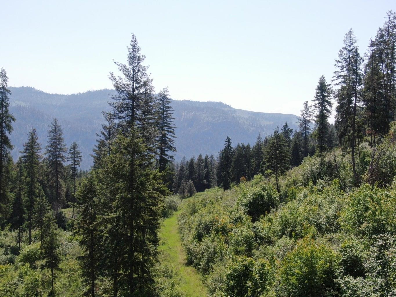Lot 4 Matsen Creek Rd - Photo 2