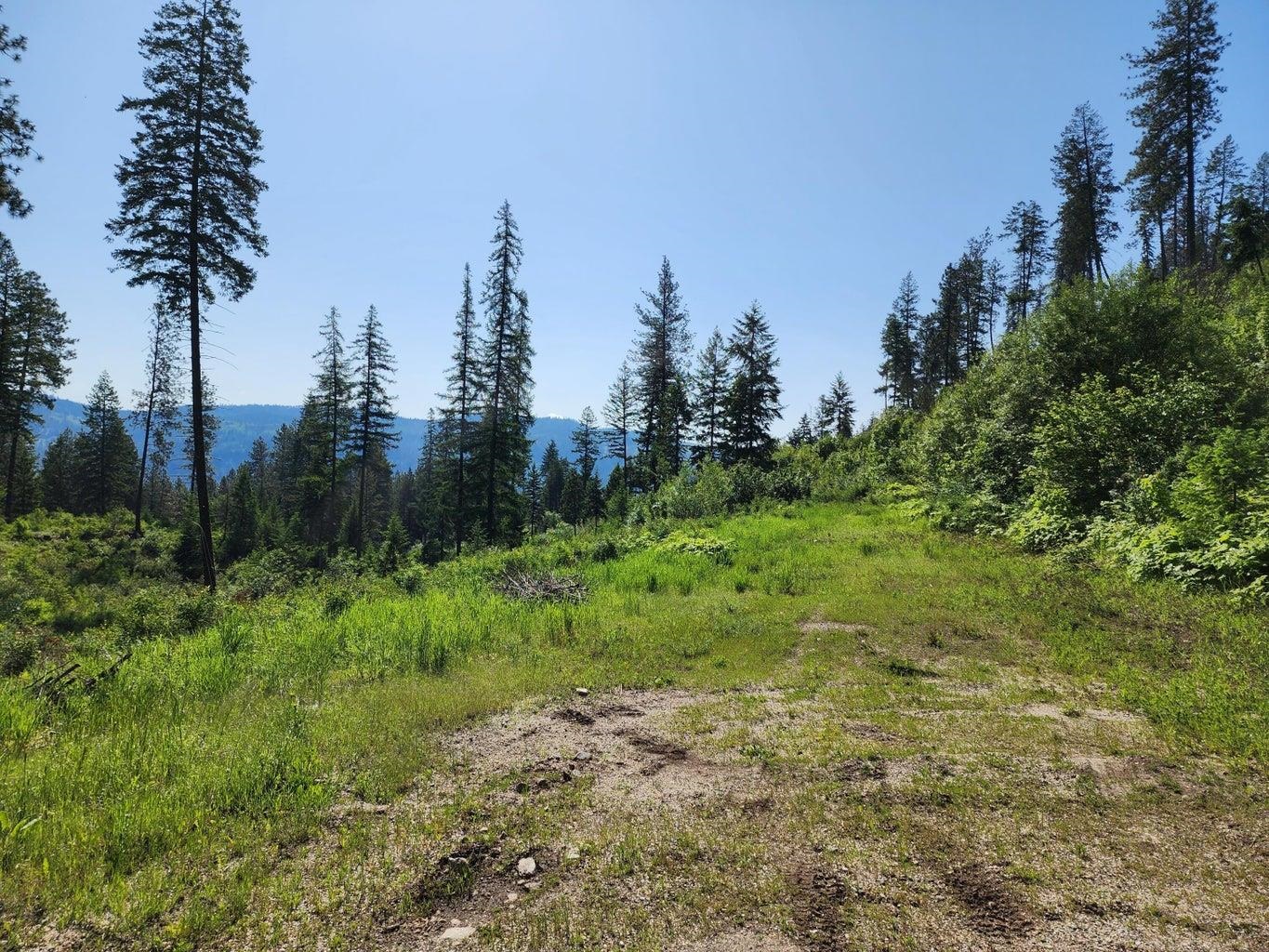 Lot 4 Matsen Creek Rd - Photo 3