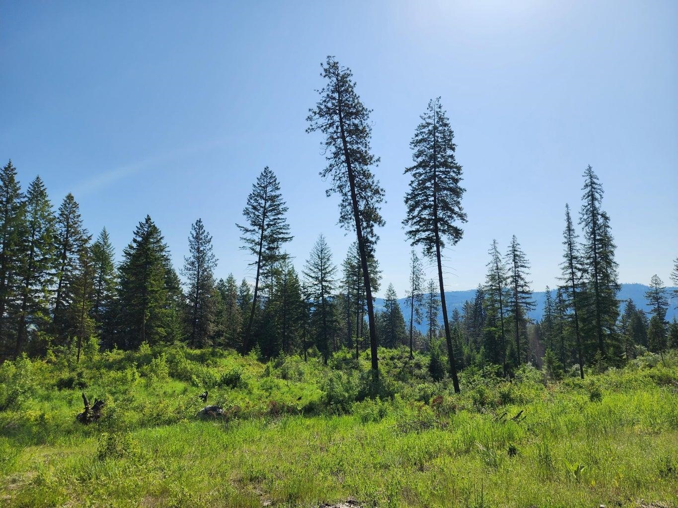 Lot 4 Matsen Creek Rd - Photo 4