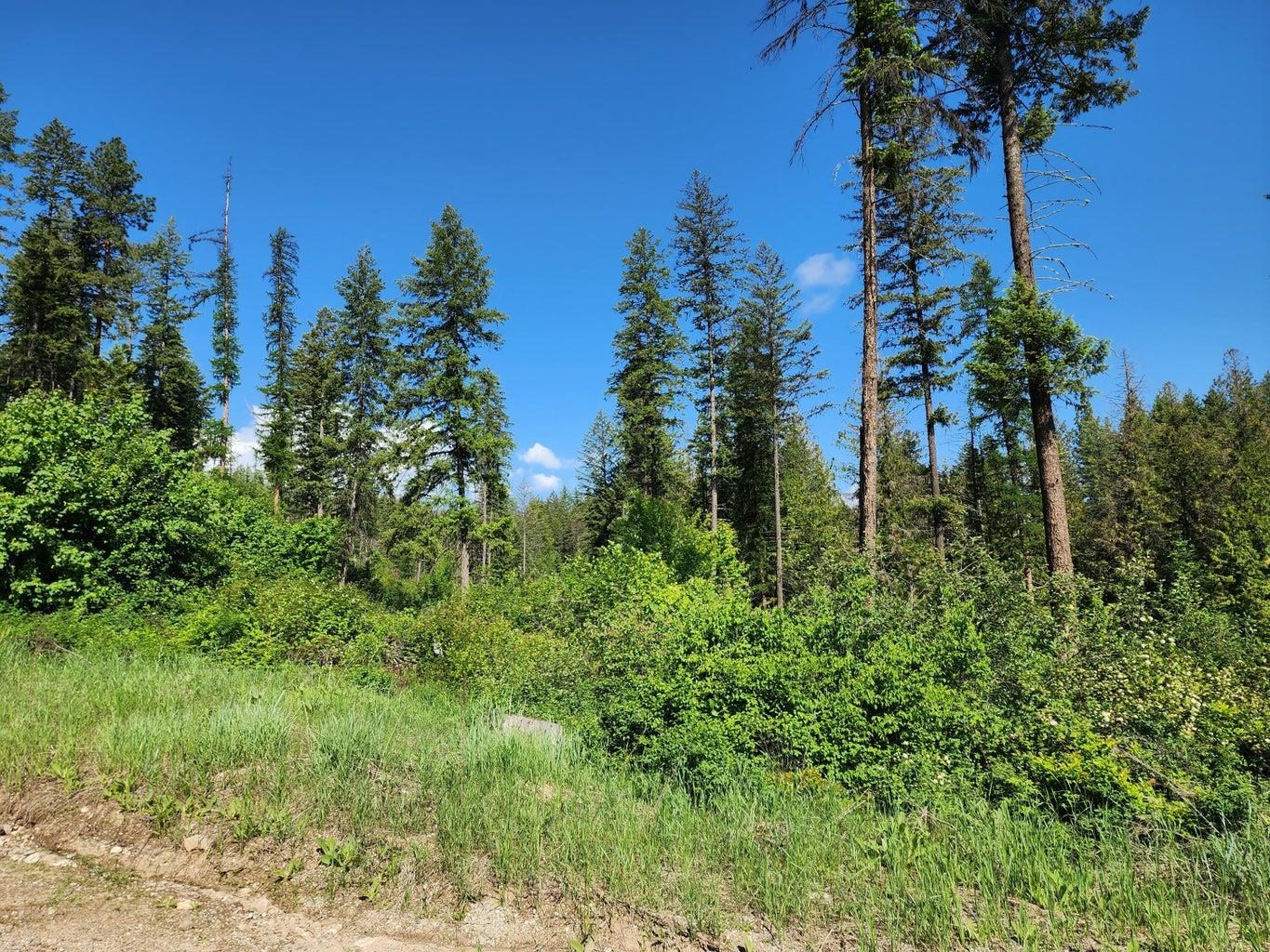 Lot 4 Matsen Creek Rd - Photo 6