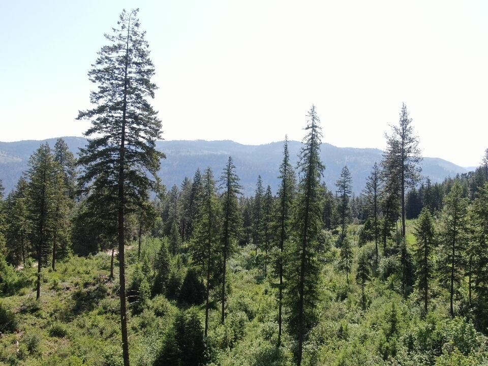 Lot 4 Matsen Creek Rd - Photo 7