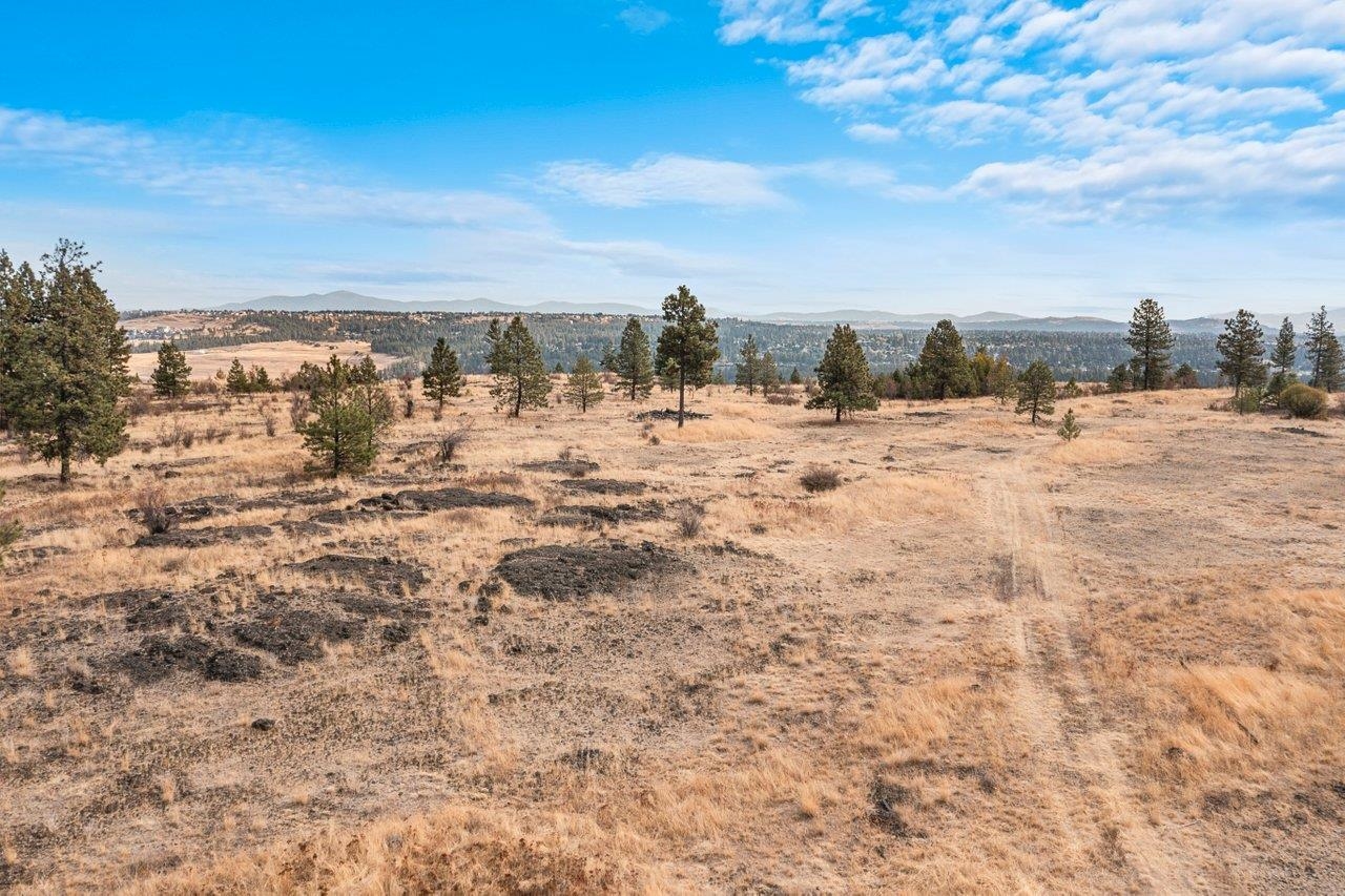 00 Indian Bluff Rd - Photo 11