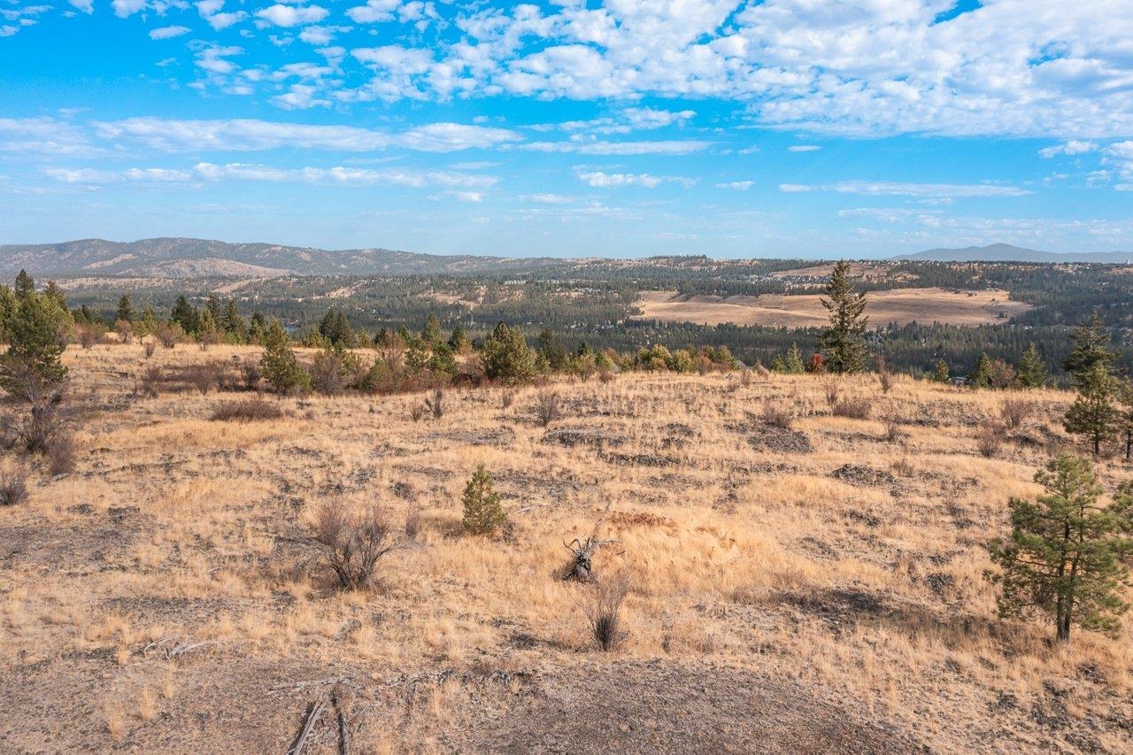 00 Indian Bluff Rd - Photo 12