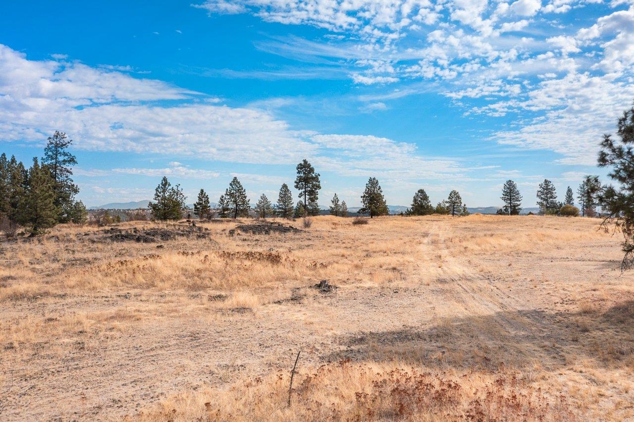 00 Indian Bluff Rd - Photo 18
