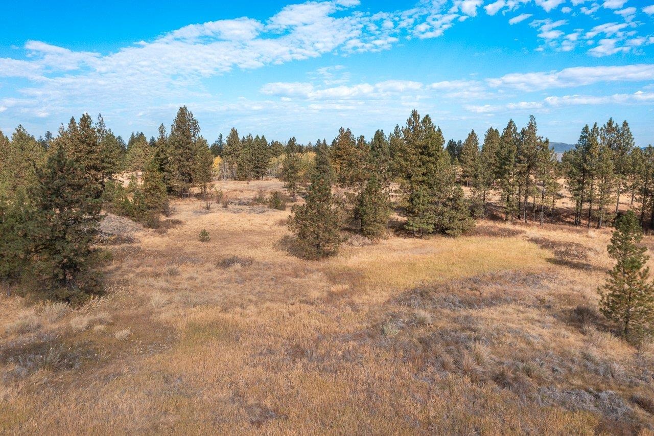 00 Indian Bluff Rd - Photo 10