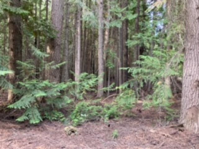 Nka. Leslie Creek Rd - Photo 1