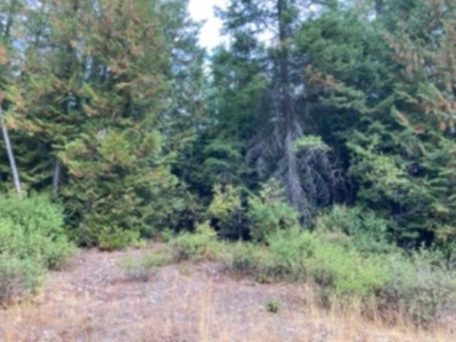 Nka. Leslie Creek Rd - Photo 4
