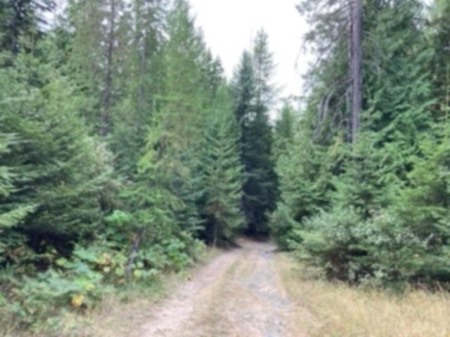 Nka. Leslie Creek Rd - Photo 5