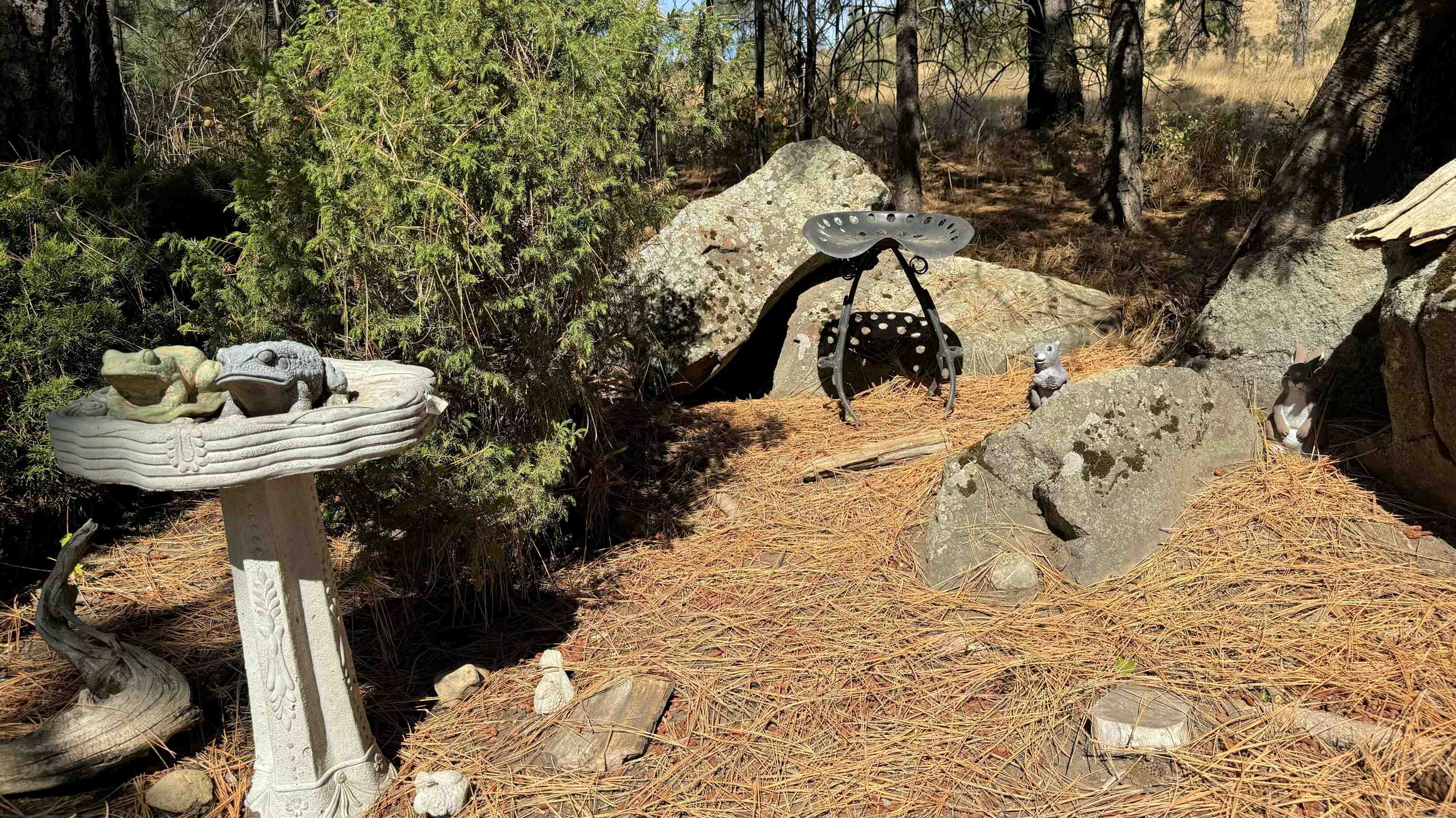 25546 E Miles/Creston Rd - Photo 11