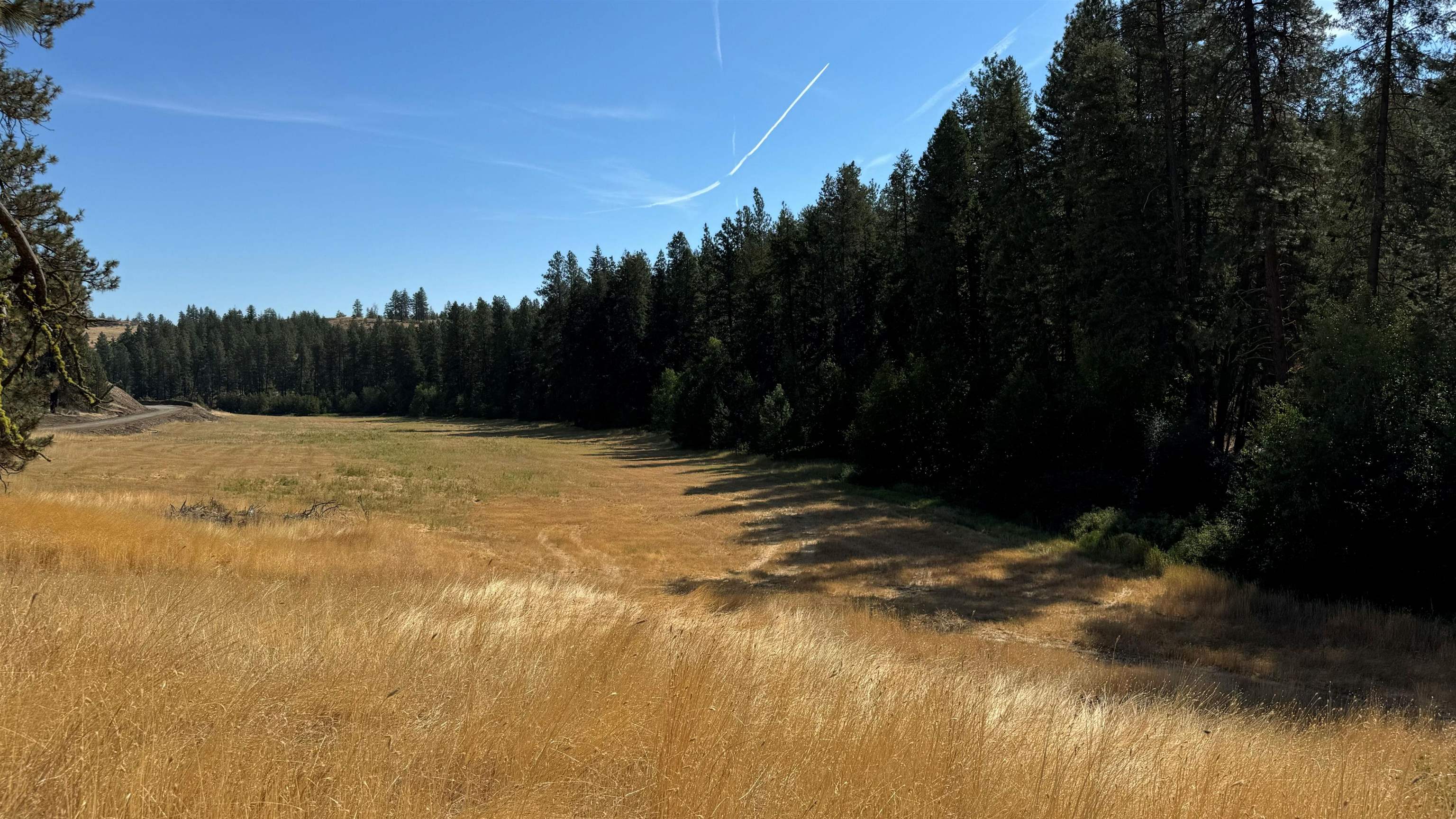 25546 E Miles/Creston Rd - Photo 17