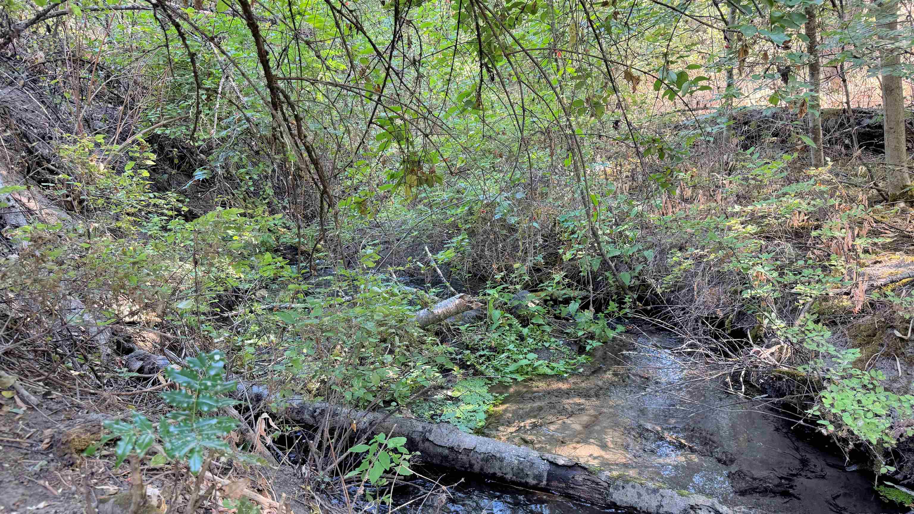 25546 E Miles/Creston Rd - Photo 18