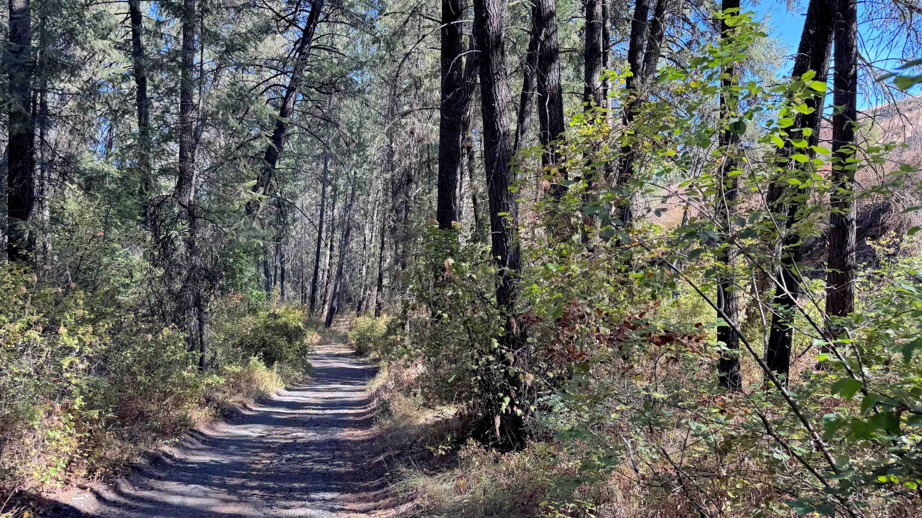25546 E Miles/Creston Rd - Photo 35
