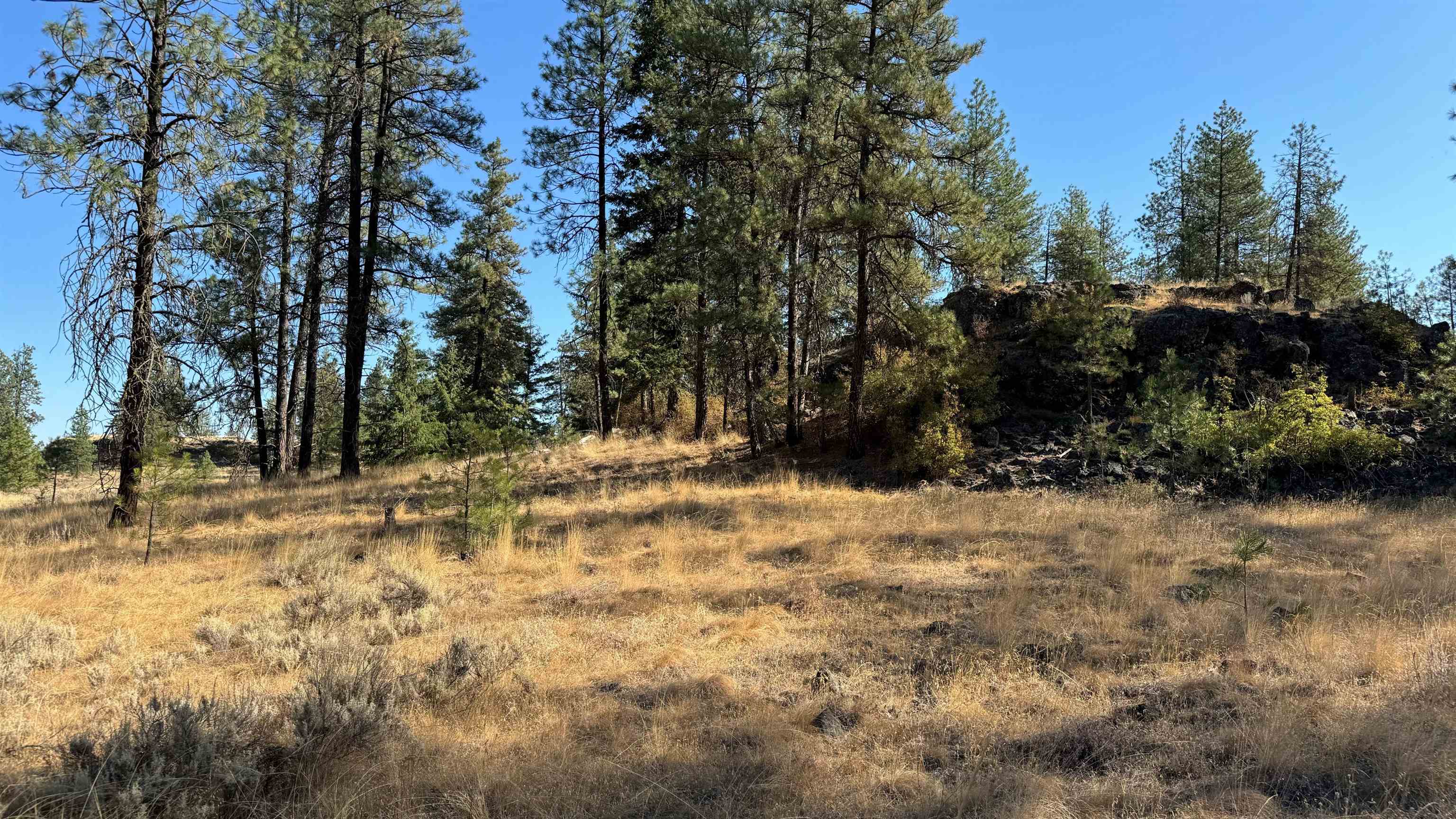 25546 E Miles/Creston Rd - Photo 36