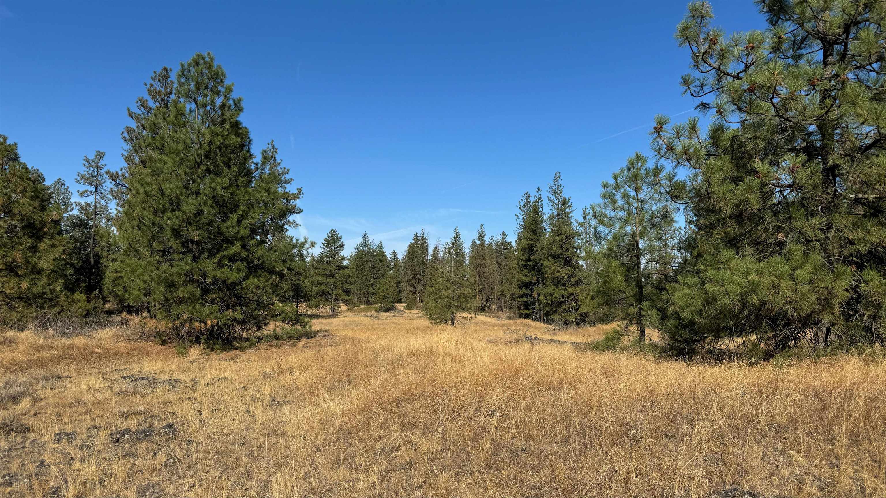 25546 E Miles/Creston Rd - Photo 37