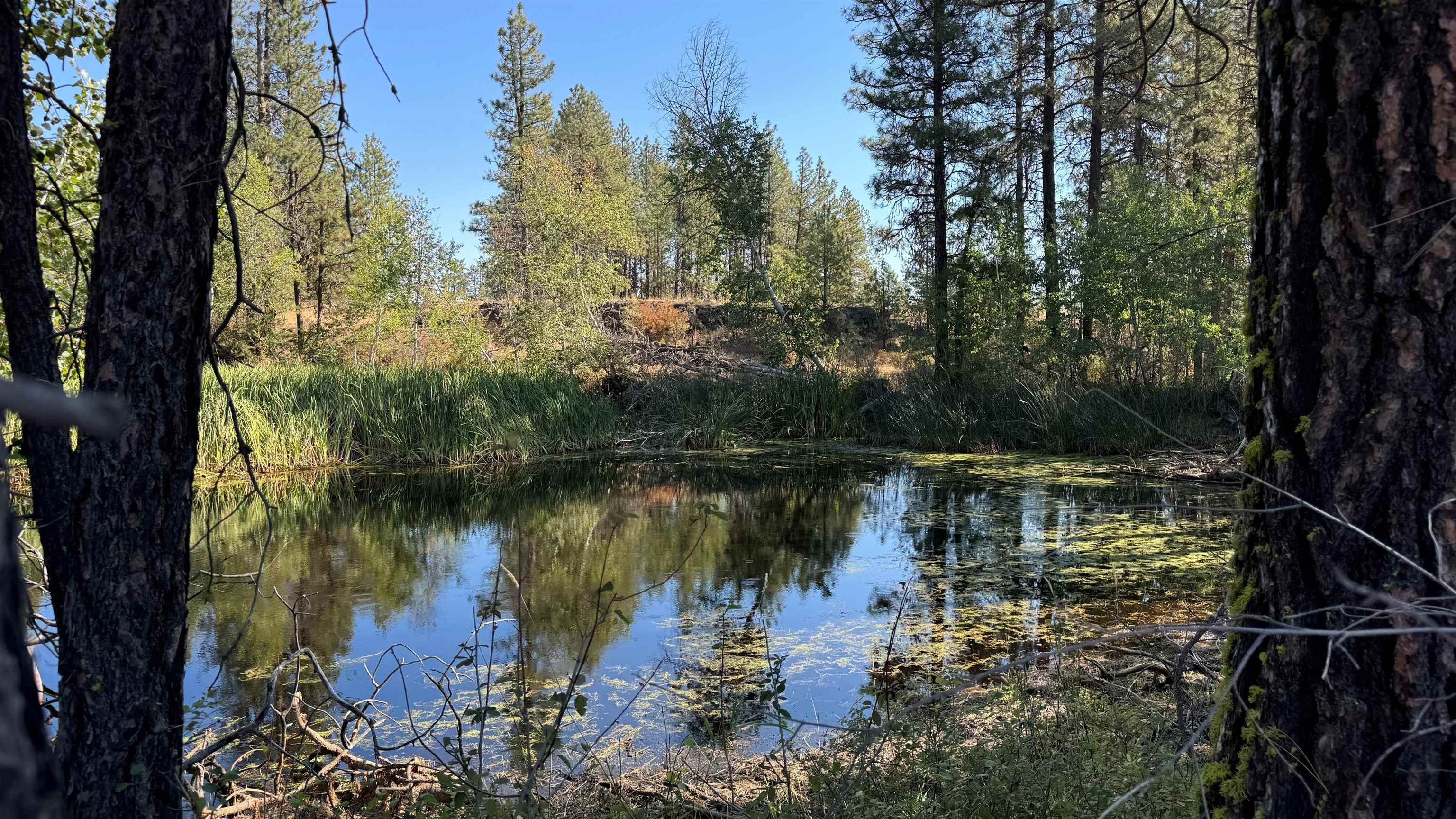 25546 E Miles/Creston Rd - Photo 39