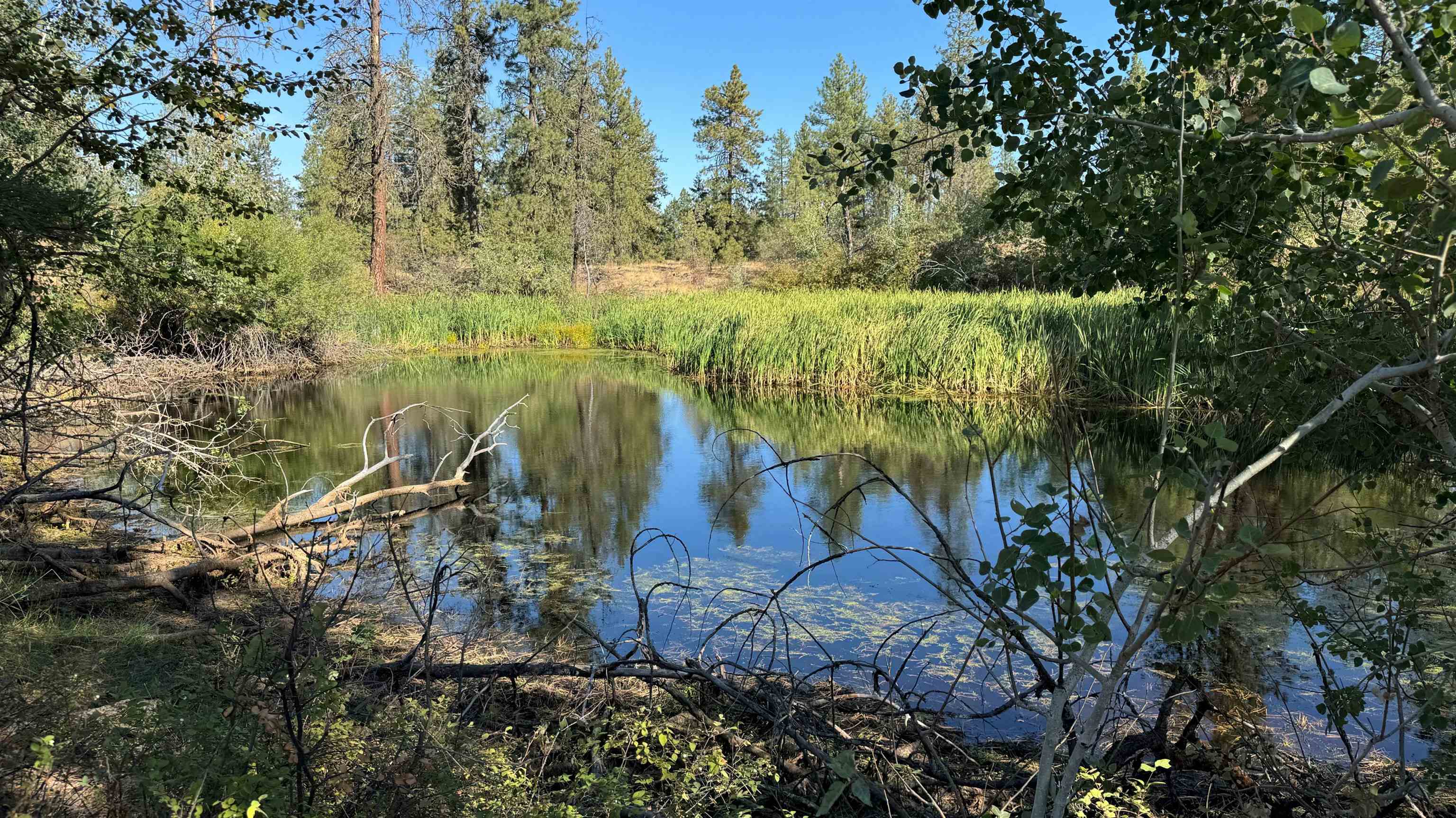 25546 E Miles/Creston Rd - Photo 40