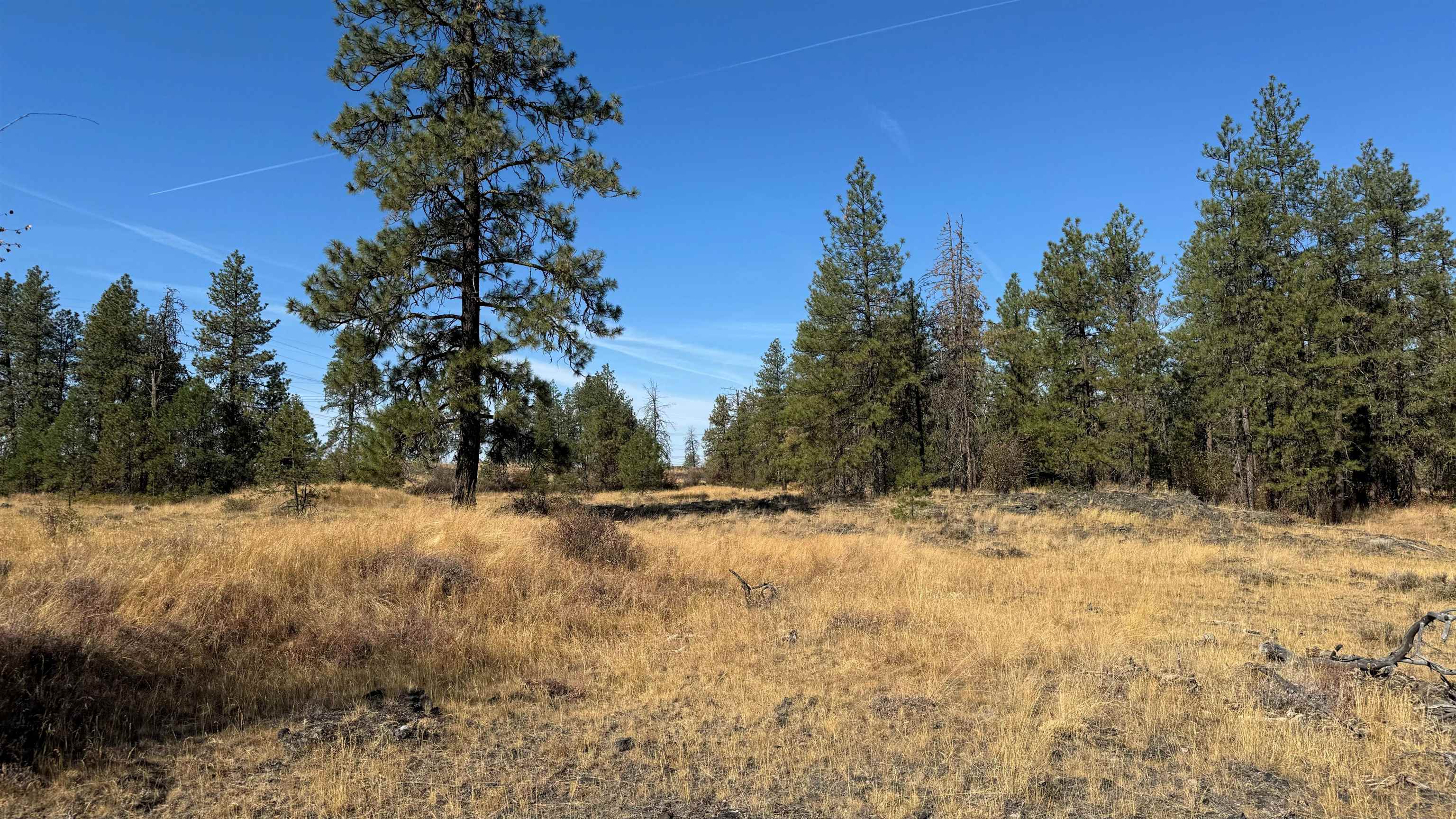 25546 E Miles/Creston Rd - Photo 41