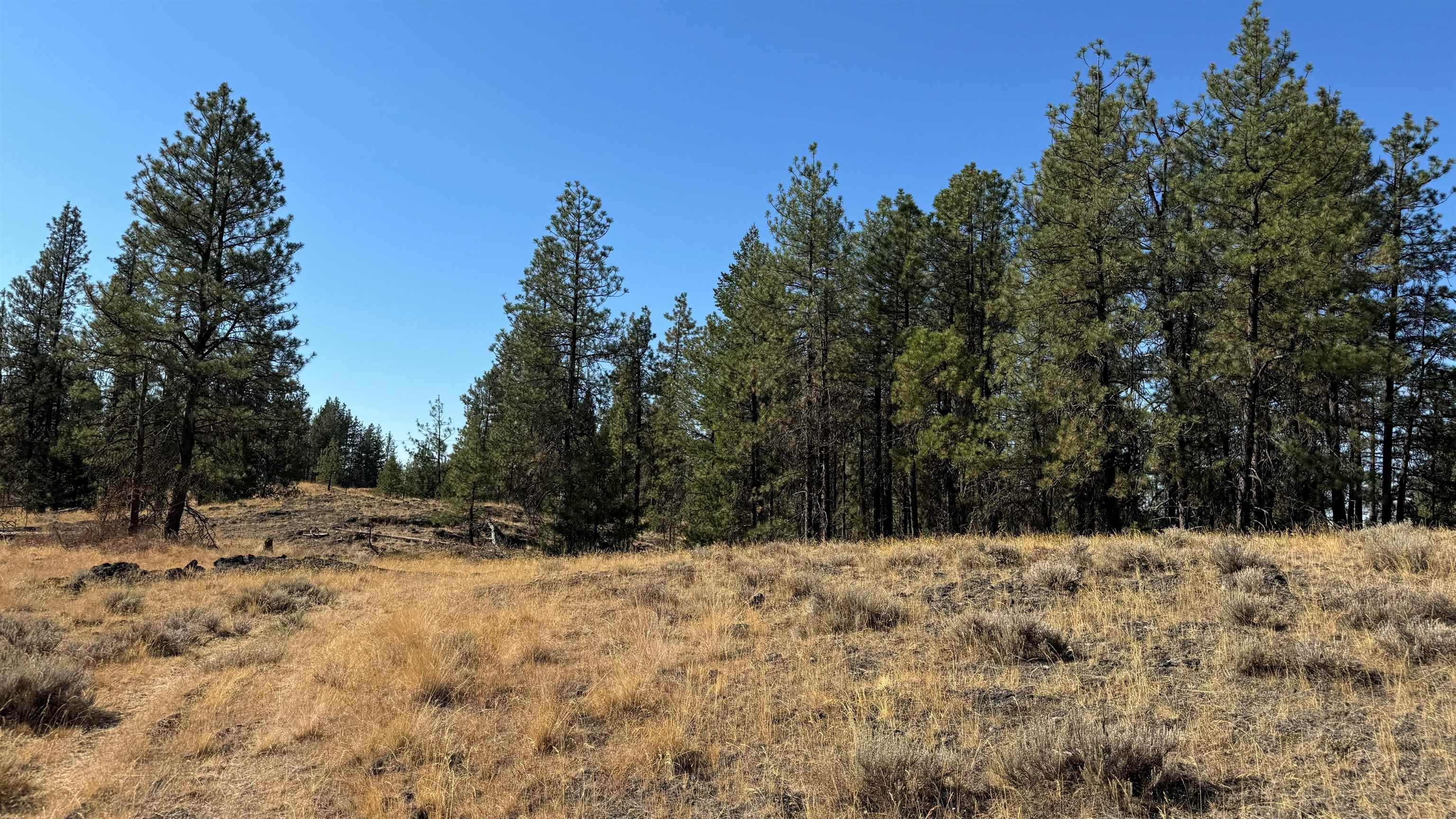 25546 E Miles/Creston Rd - Photo 42
