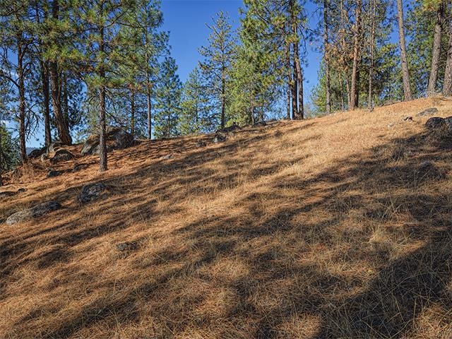 TBD Raven Ridge St - Photo 2