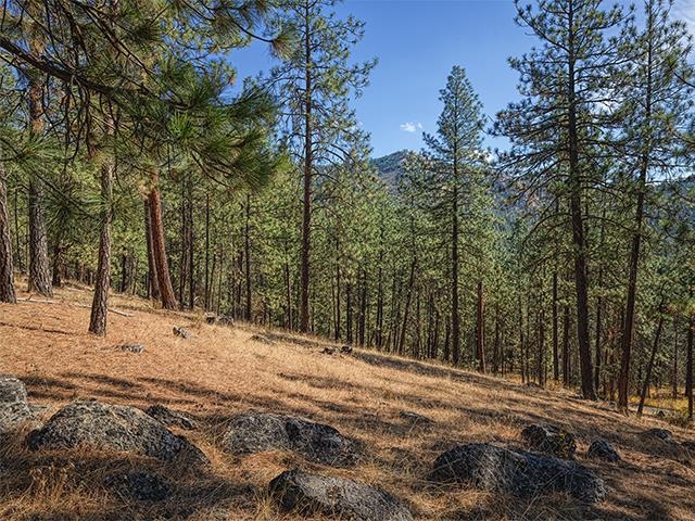 TBD Raven Ridge St - Photo 3