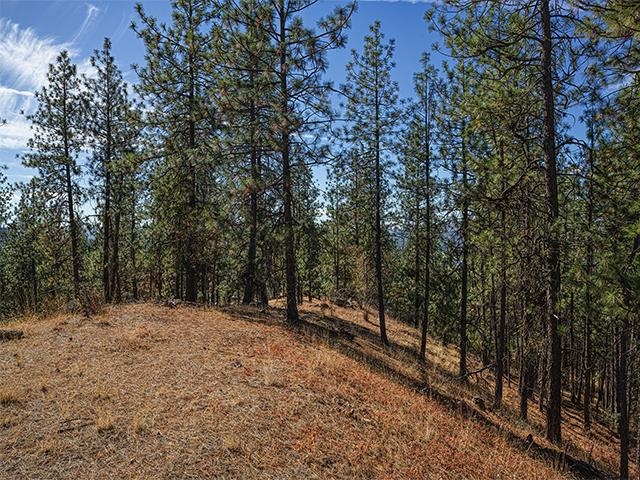 TBD Raven Ridge St - Photo 5