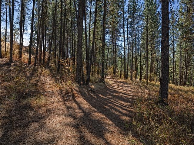 TBD Raven Ridge St - Photo 6